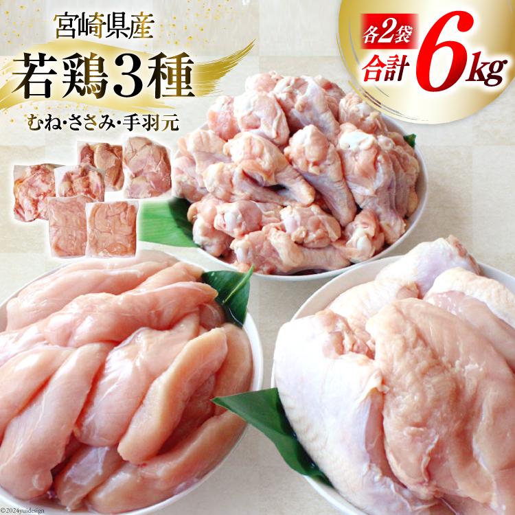 { lߍ킹 {茧Y { ނ˓  H Zbg e1kg 2p v6kg [Bt[Y {茧  31ai0022]  ނ {ނ˓ {ނ H TT~ Ⓚ ^pbN{茧15000