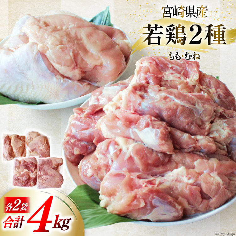 {  { ނ˓  Zbg e 1kg ×2 v 4kg [Bt[Y {茧  31ai0026] Ⓚ lߍ킹   { Y{茧14000{