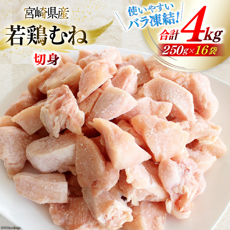 { ނ˓ {ނ˓ Jbg 250g ×16p Zbg v 4kg [Bt[Y {茧  31aj0054]  ނ { { {ނ˓ l Ⓚ Y {茧20000{