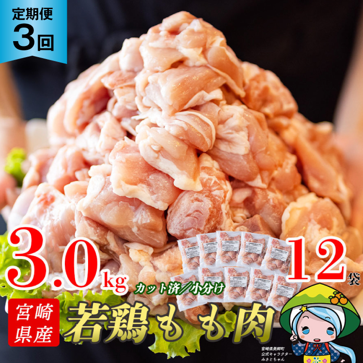  3  {茧Y{ؐgIQF 3kg×3 v9kg[Bt[Y {茧  31aj0064] Ⓚ   { {    {茧48000{