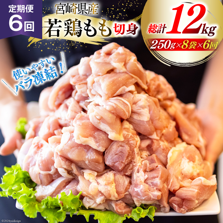 {  {  ؐg  250g 8p 6 v 12kg Zbg [Bt[Y {茧  31aj0068]  { {茧Y ֗ lC { pp IQF { Ⓚ Y  Jbgϋ{茧