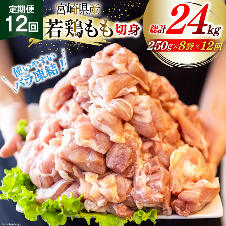 {  {  ؐg  250g×8p 12 v 24kg Zbg [Bt[Y {茧  31aj0069]  { {茧Y ֗ lC { pp IQF { Ⓚ Y  Jbgϋ{茧
