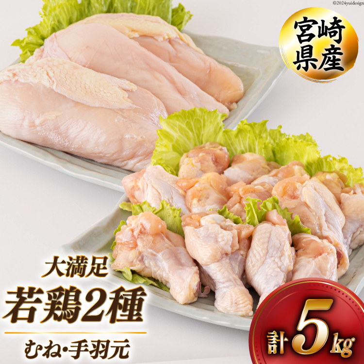 { ނ H v5kg 1kg [AOYƏ {茧  31be0044]  { Ⓚ  uߕ ύ   e ^   wV[ g 炠 `L ƂĂ