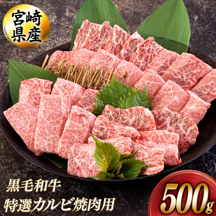 јa I Jr ē 500g [AOYƏ {茧  31be0049]  u BBQ o[xL[ Lv ig    Y  pbN I Jr Nbp ē X[v `