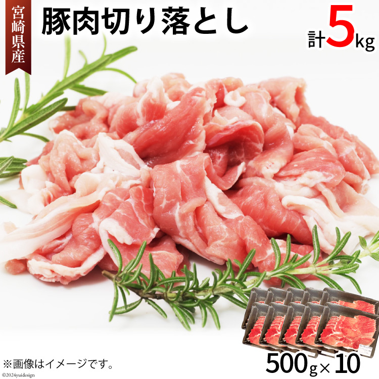 ؓ ؂藎Ƃ {茧Y  ؂藎 500g × 10 v5kg [AOYƏ {茧  31be0059]  Ⓚ Ԃ Ԃ   ؂藎Ƃ{茧21000ؓ