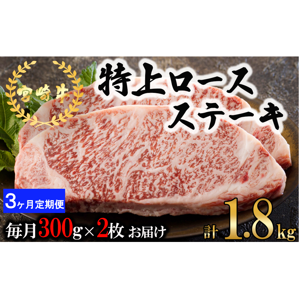 3  {苍  [X Xe[L 300g×2×3 v1.8kg ^ [AOYƏ {茧  31be0064]     јa ē{茧60500