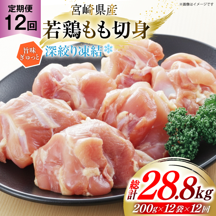 {  {茧Y { ؐg [i蓀 200g 12p 12  v28.8kg [Bt[Y{xX {茧  31bf0006]  ^pbN { {茧150000{