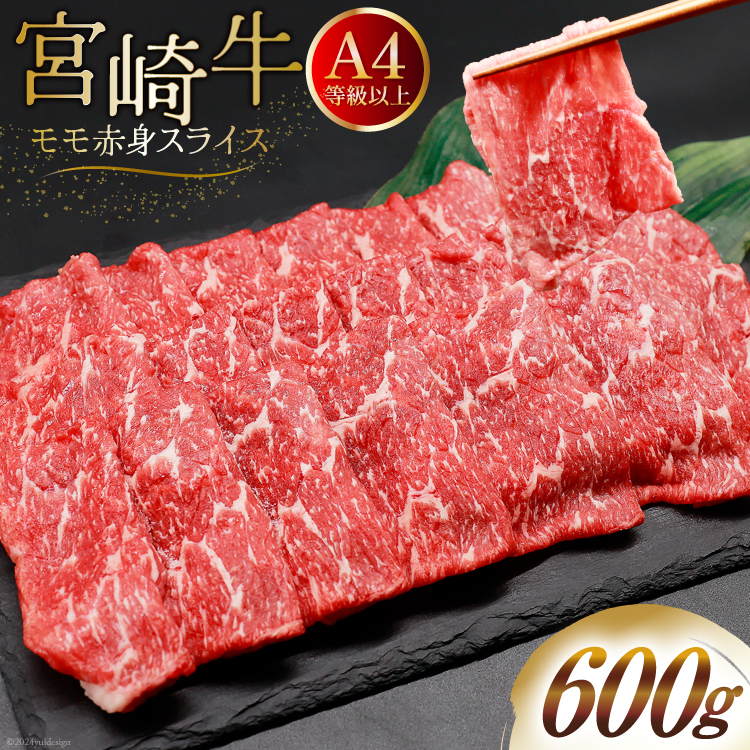 yA4ȏz   {苍 Ԑg XCX 600g [St[hT[rX {茧  31bm0043] Ⓚ uh Ԑg   Ԑg{茧12000
