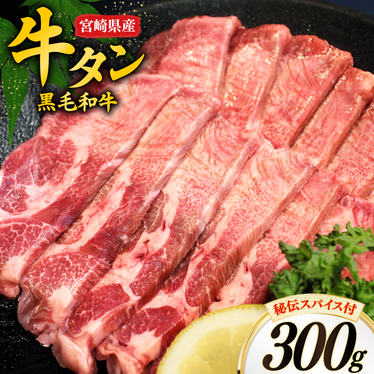 ^ {茧Y јa ^ XCX 300g ` XpCX t [I[`Y {茧  31bn0001] ؂ ؂   {茧20500
