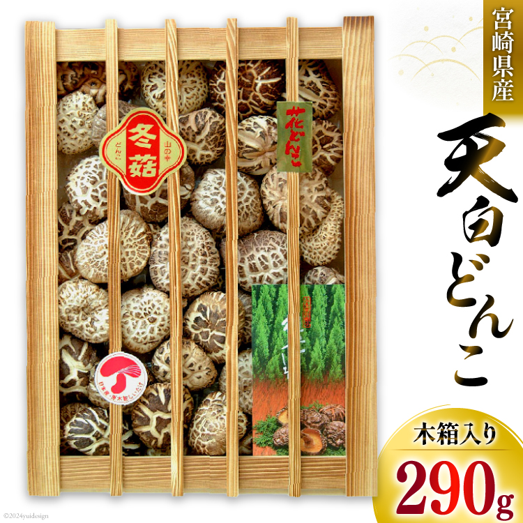 {茧Y ő Mtg V ǂ uK-100v 290g  [cX {茧  31ac0037]  ő ő  Y BY {茧Y Mtg 蕨 v[g p ϔ ؔ