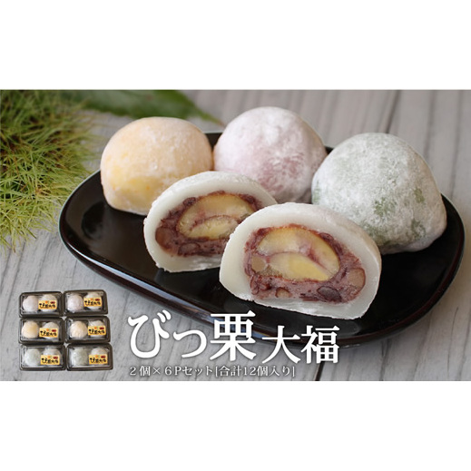aَq т啟 2×6pbN [_юY m {茧  31ab0069] I aI Y َq lߍ킹 IÂ aَq XC[c {茧Y Y Ⓚ   َq 