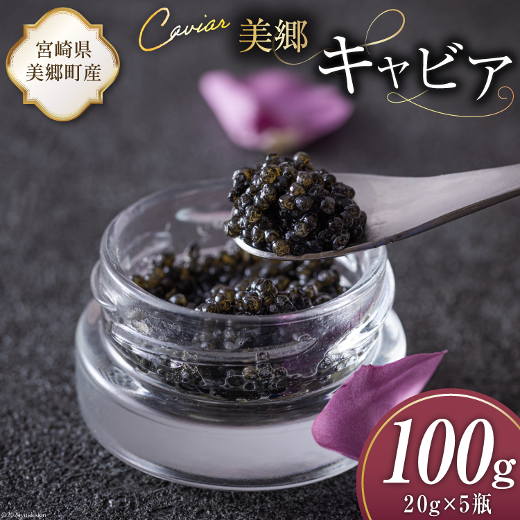  LrA `EU 100g [{LrA {茧  31az0017] 񂩂 LJ  t[o[ Ⓚ {茧Y{茧100000ECYqȆ