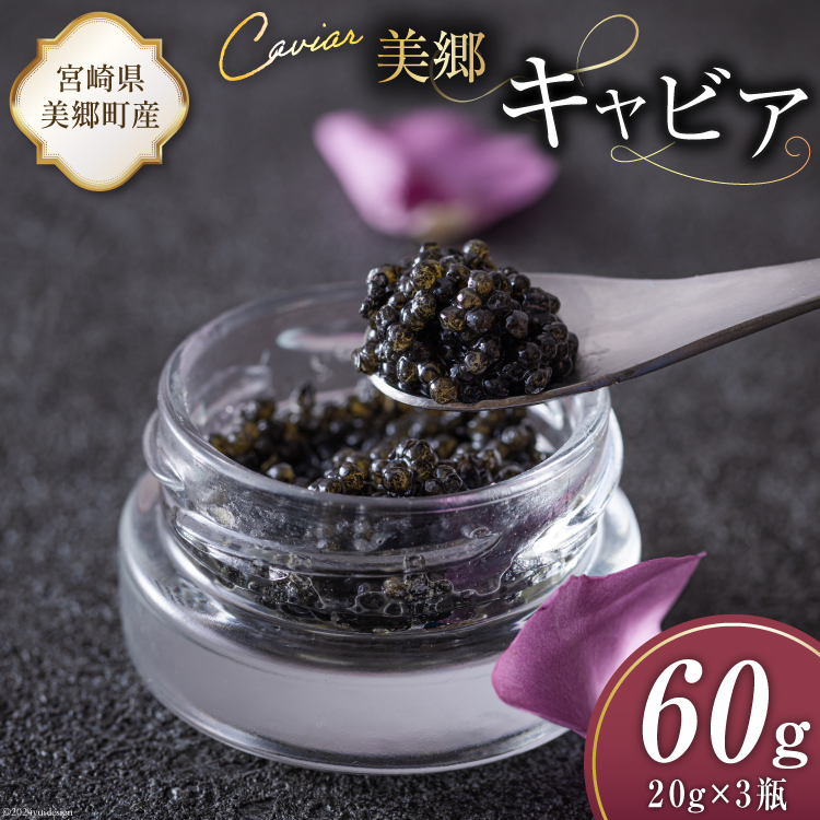  LrA `EU 60g [{LrA {茧  31az0015] 񂩂 LJ  t[o[ Ⓚ {茧Y{茧60000ECYqȆ