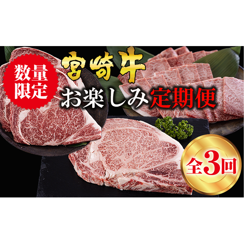 3  {苍 [XXe[L 600g ē 400g |hXe[L 454g [{n}[PeBO {茧  31bd0023] Ⓚ  Y јa A5 A4 uh   ~ o[xL[