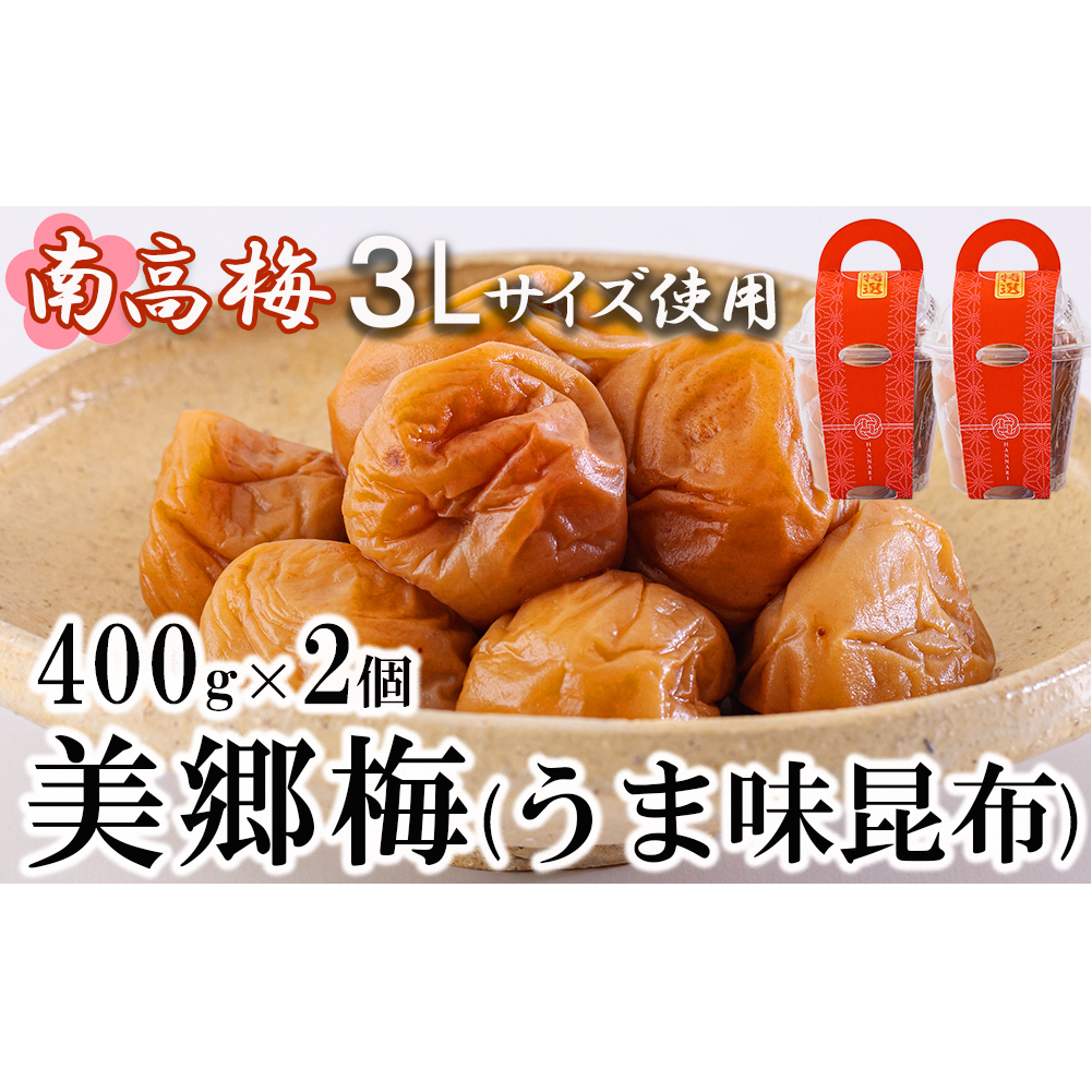 썂~ ~ ~ z 400g×2 3LTCY T Ai [_юY m {茧  31ab0112] Y {茧Y Y 퉷  i ̓ ̓ v[g Mtg 蕨