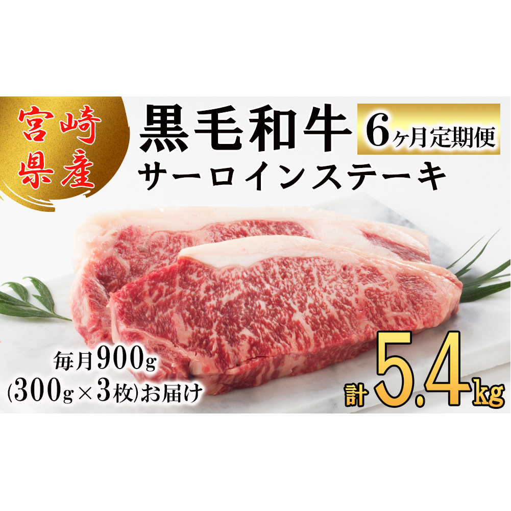 6  {茧Y јa T[C Xe[L 300g ×3×6 v5.4kg [TAOt[Y {茧  31ba0035]  Ⓚ  Y   ~ BBQ o[xL[ Lv ^ Xy