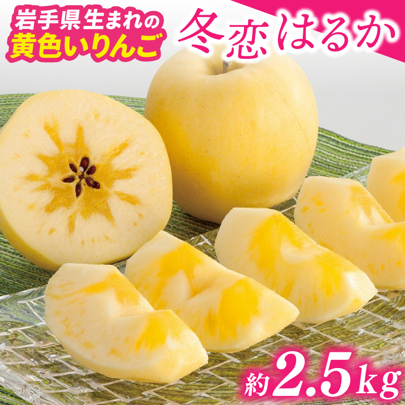 u~͂邩v x15xȏys\ 12\z ʌ 茧Y  S ь ~ ͂邩 t[c  ʕ y~z (AI022)茧g22000ʕEt