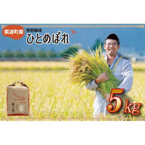 \令和6年産/ ひとめぼれ 白米 5kg 【甚乃米 特別栽培米】 さめても美味しい おこめ 白米 岩手県 紫波町産 (AC022)岩手県紫波町12000米・パン白米