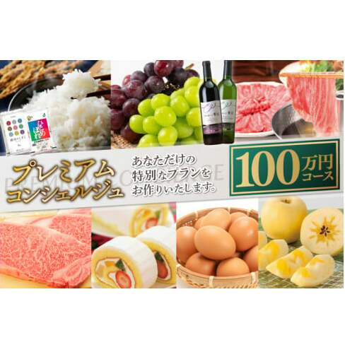 コンシェルジュ コース 紫波町 100万円 提案型(DS002)岩手県紫波町1000000肉牛肉