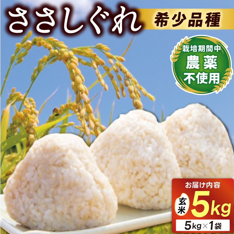 \新米 10月下旬発送開始予定/ ★令和7年産★ 新米 ささしぐれ 5kg(玄米)ふるさと納税 米 岩手県 (DE008)岩手県紫波町22000米・パン玄米・雑穀米・もち米・餅