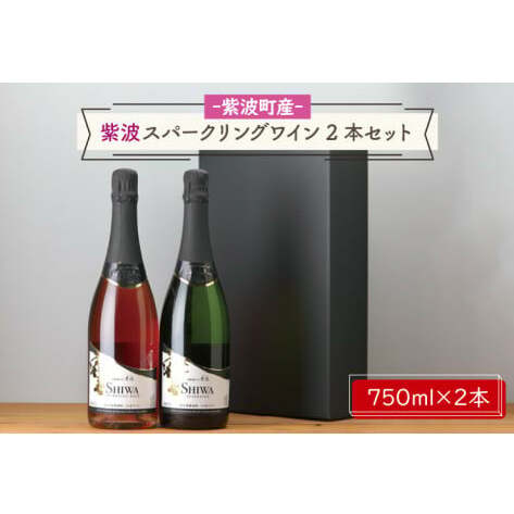 AL065-1 産地限定 ワインぶどう品種使用 紫波スパークリングワイン2本セット 白・ロゼ 紫波町産 テロワール ワイン岩手県紫波町31000酒・アルコールワイン