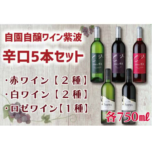 産地限定 ワインぶどう品種 使用 「自園自醸ワイン紫波辛口5本セット」紫波町産 テロワール ワイン (AL035)岩手県紫波町37000酒・アルコールワイン