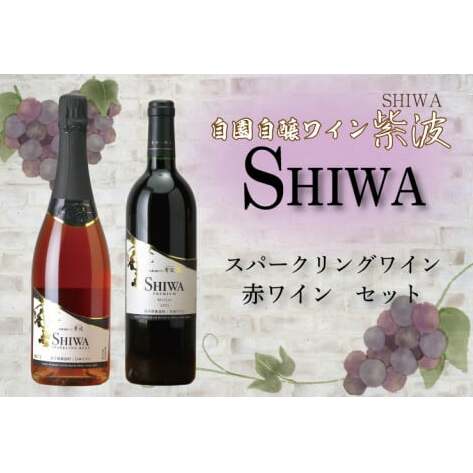 AL063-1 産地限定 ワインぶどう品種使用 スパークリングワイン・赤ワインセット 自園自醸ワイン紫波 紫波町産 テロワール ワイン岩手県紫波町24000酒・アルコールワイン