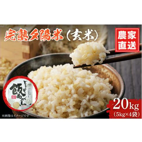 _V s\ ߘa7NY^ n[z () 20kg (5kg×4) ЂƂ߂ڂ ʍ͔| Y_ƒ (CP036)茧g64000āEpāEGāEāE