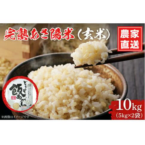 _V s\ ߘa7NY^ nz () 10kg (5kg×2) ЂƂ߂ڂ ʍ͔| Y_ƒ (CP032)茧g31000āEpāEGāEāE