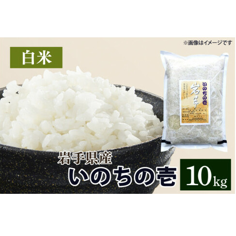 ߘa6NY ̂̈ uāv 10kg (CA022)茧g40000āEp