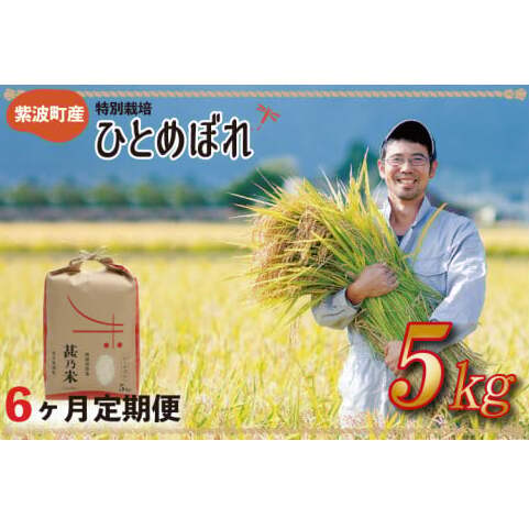 【令和6年産】ひとめぼれ 5kg 【6ヶ月定期】【特別栽培米】 岩手県 紫波町産 (AC026)岩手県紫波町72000米・パン白米