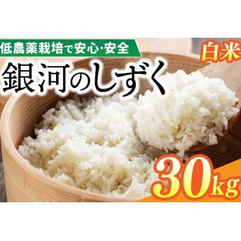 yVāzߘa7NY ͂̂ 30kg () _͔| YҒ (EI015)茧g75000āEp