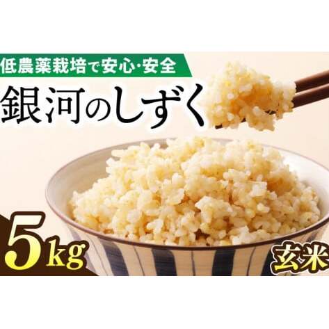 【新米】令和7年産 銀河のしずく 5kg (玄米) 低農薬栽培米 生産者直送 (EI017)岩手県紫波町17500米・パン玄米・雑穀米・もち米・餅