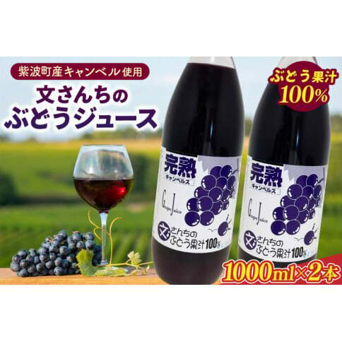 \ぶどう果汁100%/文さんちの完熟ぶどうジュース 1000ml×2本 (EH001)岩手県紫波町10500お茶・飲料果汁・野菜飲料