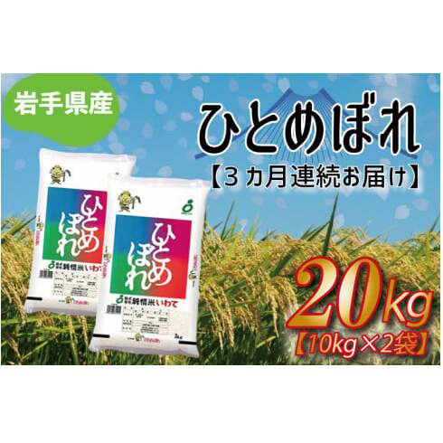 ߘa6NYy3ցzЂƂ߂ڂ20kgi10kg×2܁j 茧Y (AE181)茧g126000āEp