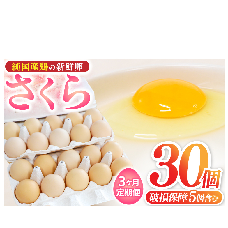 【選べる定期便】たまご 卵 玉子 鶏卵 純国産鶏 さくら 純たまご30個 破損保証5個含む 採れたて 新鮮 卵 農地直送 3ヶ月 定期便 卵料理 卵焼き 卵かけご飯 オムレツ 朝食(AJ028)岩手県紫波町27