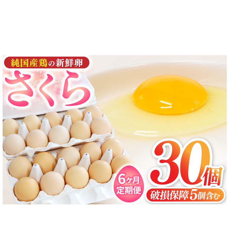 【選べる定期便】たまご 卵 玉子 鶏卵 純国産鶏 さくら 純たまご30個 破損保証5個含む 採れたて 新鮮  農地直送6ヶ月 定期便 卵料理 卵焼き 卵かけご飯 オムレツ 朝食 (AJ029)岩手県紫波町54000