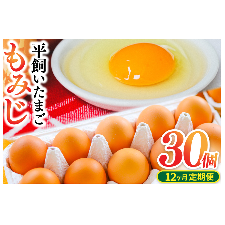 【浅沼養鶏場】定期便 レビュー 高評価 純国産鶏もみじ 平飼い 卵30個 破損保証5個を含む 定期便 12ヵ月 生産者 採れたて たまご 玉子 鶏卵 養鶏場より直送 (AJ026)岩手県紫波町120000卵・乳製品