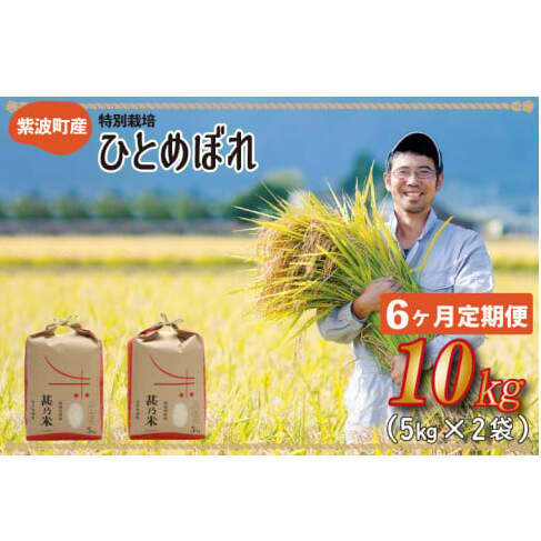 【令和6年産】ひとめぼれ 10kg (5kg×2袋) 【6ヶ月定期】【特別栽培米】 岩手県 紫波町産 (AC029)岩手県紫波町114000米・パン白米
