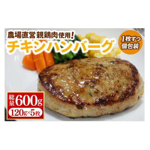 【浅沼養鶏場】国産 親鶏の旨味たっぷり チキンハンバーグ 約120g×5枚 (約600g) 小分け 冷凍 簡単調理 餌にこだわった 親鶏肉使用 ハンバーグ チキン メンチ カツ BBQ 産地直送 (AJ017)岩手県紫波