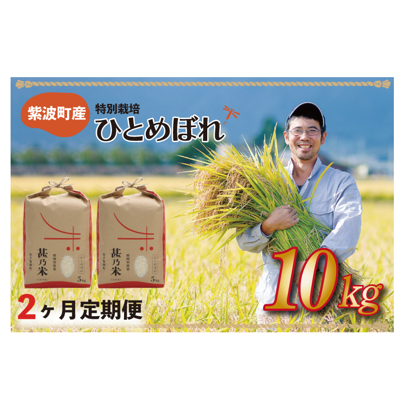 yߘa6NYzЂƂ߂ڂ 10kg (5kg×2) y2zyʍ͔|āz 茧 gY (AC027)茧g38000āEp