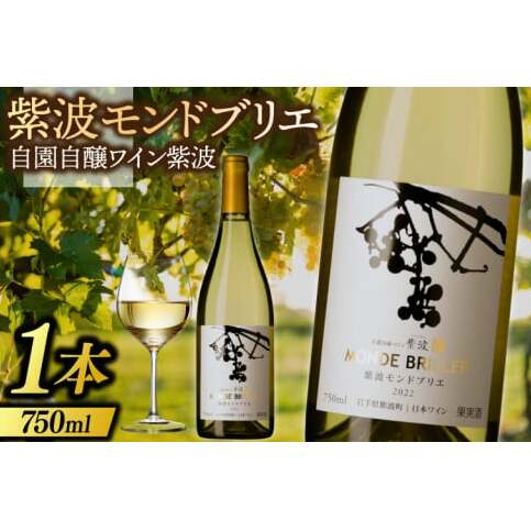 産地限定 ワイン ぶどう品種使用  紫波 モンドブリエ 自園自醸ワイン 紫波 紫波町産 ぶどう 白 やや辛口 ワイン (AL081) 岩手県紫波町13500酒・アルコールワイン