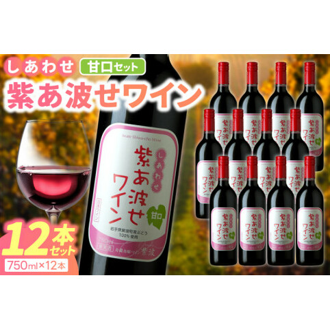 ԃC Ì 12{ Zbg g C (킹C) Ԃǂ  Cg (AL097)茧g48000EAR[C