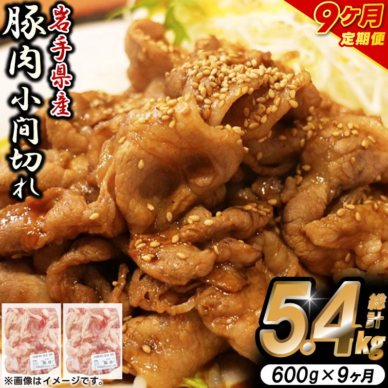 \9ヶ月連続 定期便/【岩手県産豚肉】小間切れ600g (300g×2パック) (総計 5.4kg) 大容量 肉 冷凍 小分け しゃぶしゃぶ 焼肉 お弁当 おかず 岩手 いわちく 紫波町(AB137)岩手県紫波町58500肉豚肉
