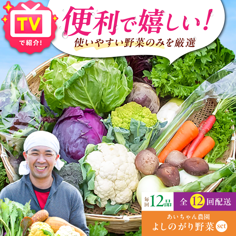 y12i / 12ցz_́u悵̂؁vZbgiM[j [FAA006]ꌧg샖175000؁Ê̑ 