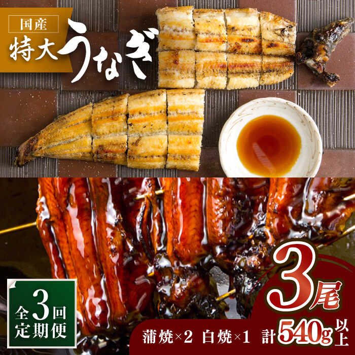 y3ցz̍YȂāE3ZbgiV2E1jyۈz [FAD003]ꌧg샖135000ECYȂ