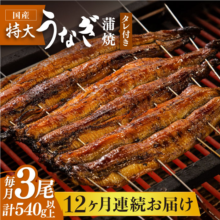 y12ցzO̍YȂ 3Zbgyۈz [FAD008]ꌧg샖700000ECYȂ