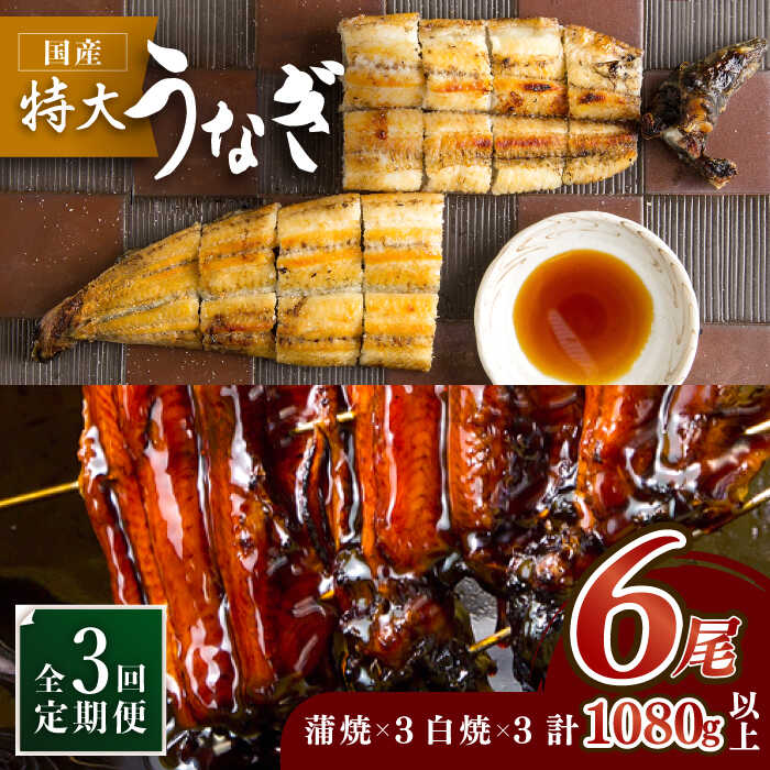 y3ցz̍YȂāE v6ZbgiȂ3E3j×3yۈz [FAD010]ꌧg샖270000ECYȂ