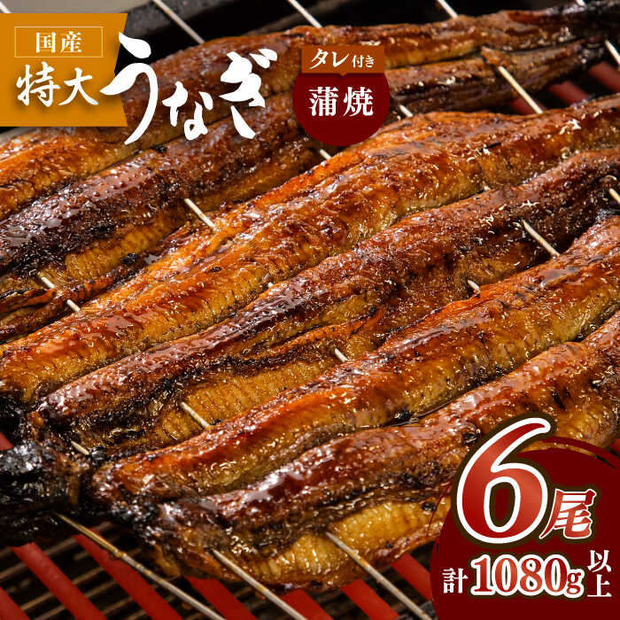 O̍YȂ 6Zbgyۈz [FAD013]ꌧg샖90000ECYȂ