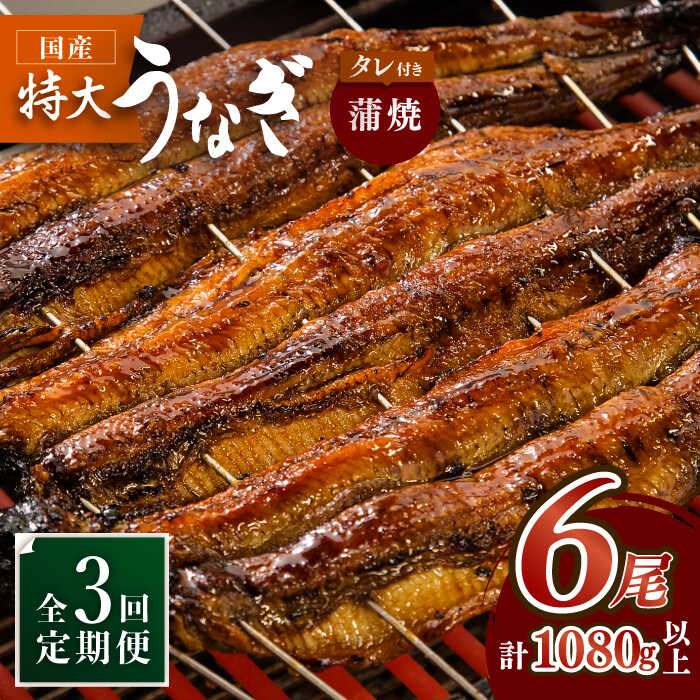 y3ցzO̍YȂ 6Zbg×3yۈz [FAD014]ꌧg샖270000ECYȂ